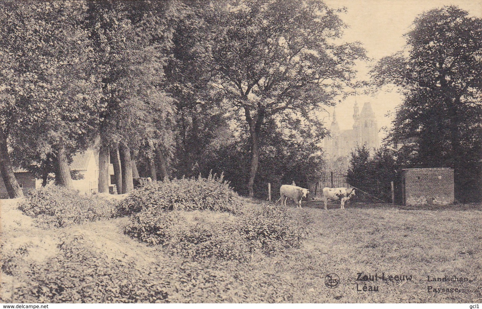 Zoutleeuw  - Landschap - Zoutleeuw