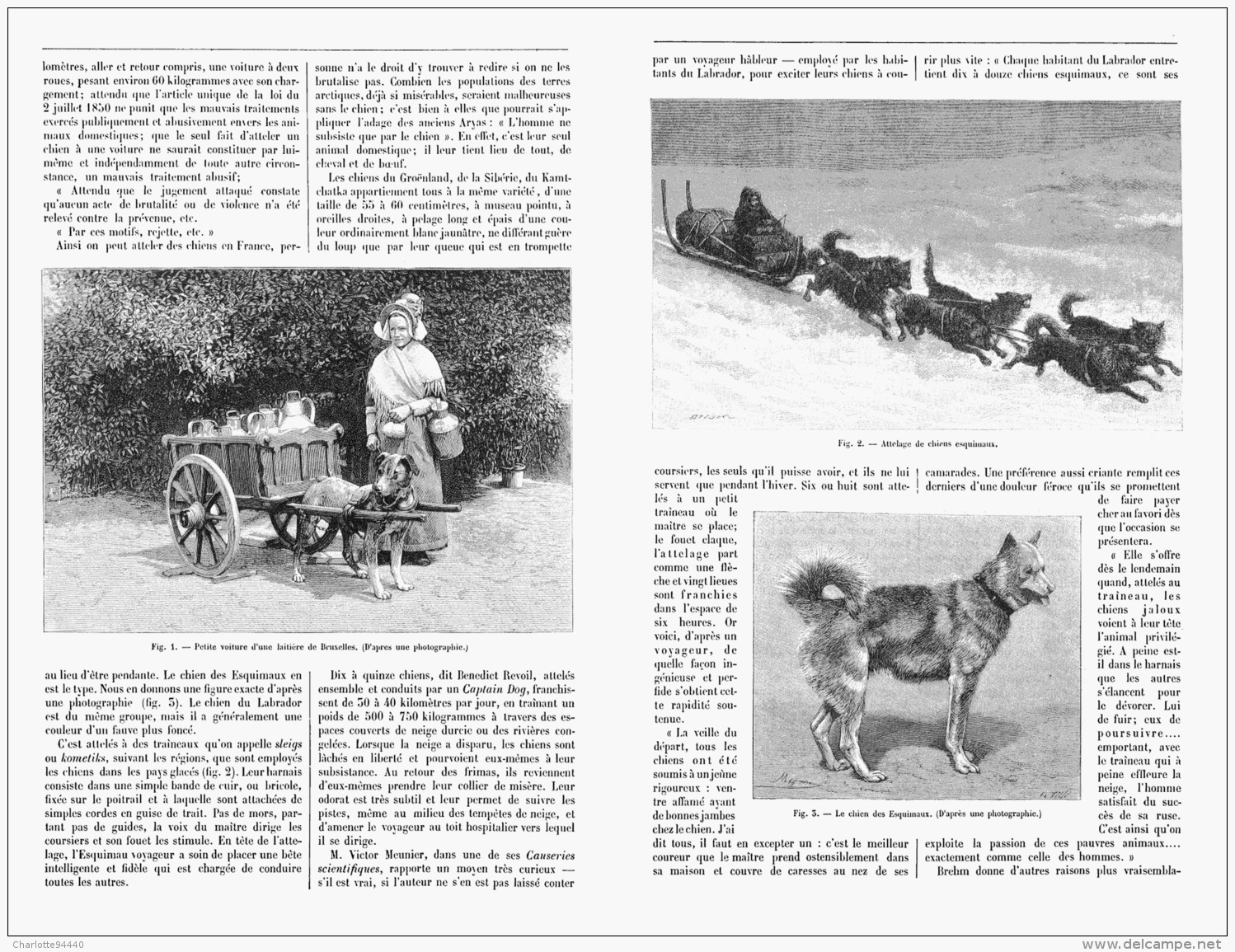 LES CHIENS DE TRAITS  1894 - Autres & Non Classés