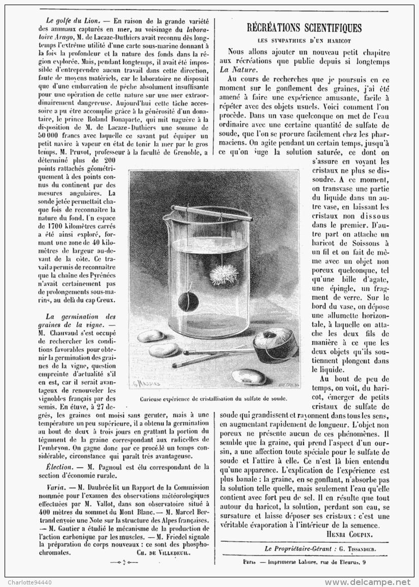 RECREATIONS SCIENTIFIQUES :  " LES SYMPATHIES D'UN  HARICOT   "  1894 - Autres & Non Classés