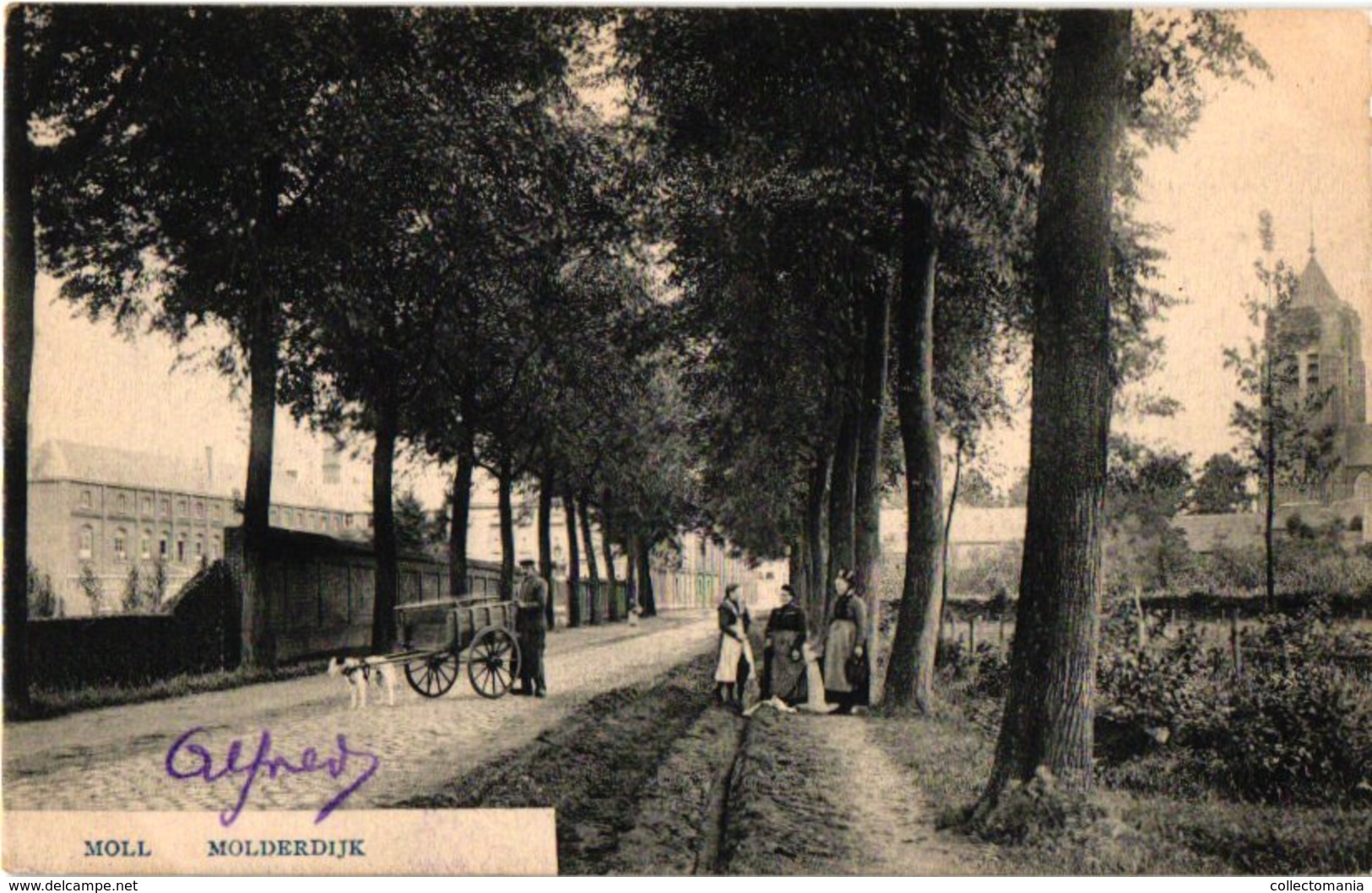 C1907 MOLL Mol Attelage De Chiens - Hondenkar - Molderdijk Met Zicht Op Kerk En Opvoedingsgesticht Voor Jongens VENTER - Street Merchants