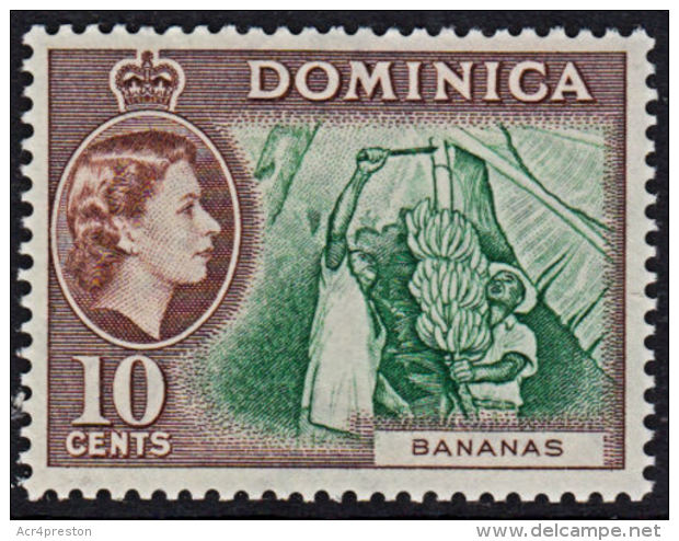 A5351 DOMINICA 1954, SG 150  10c Definitive,  MNH - Dominica (1978-...)