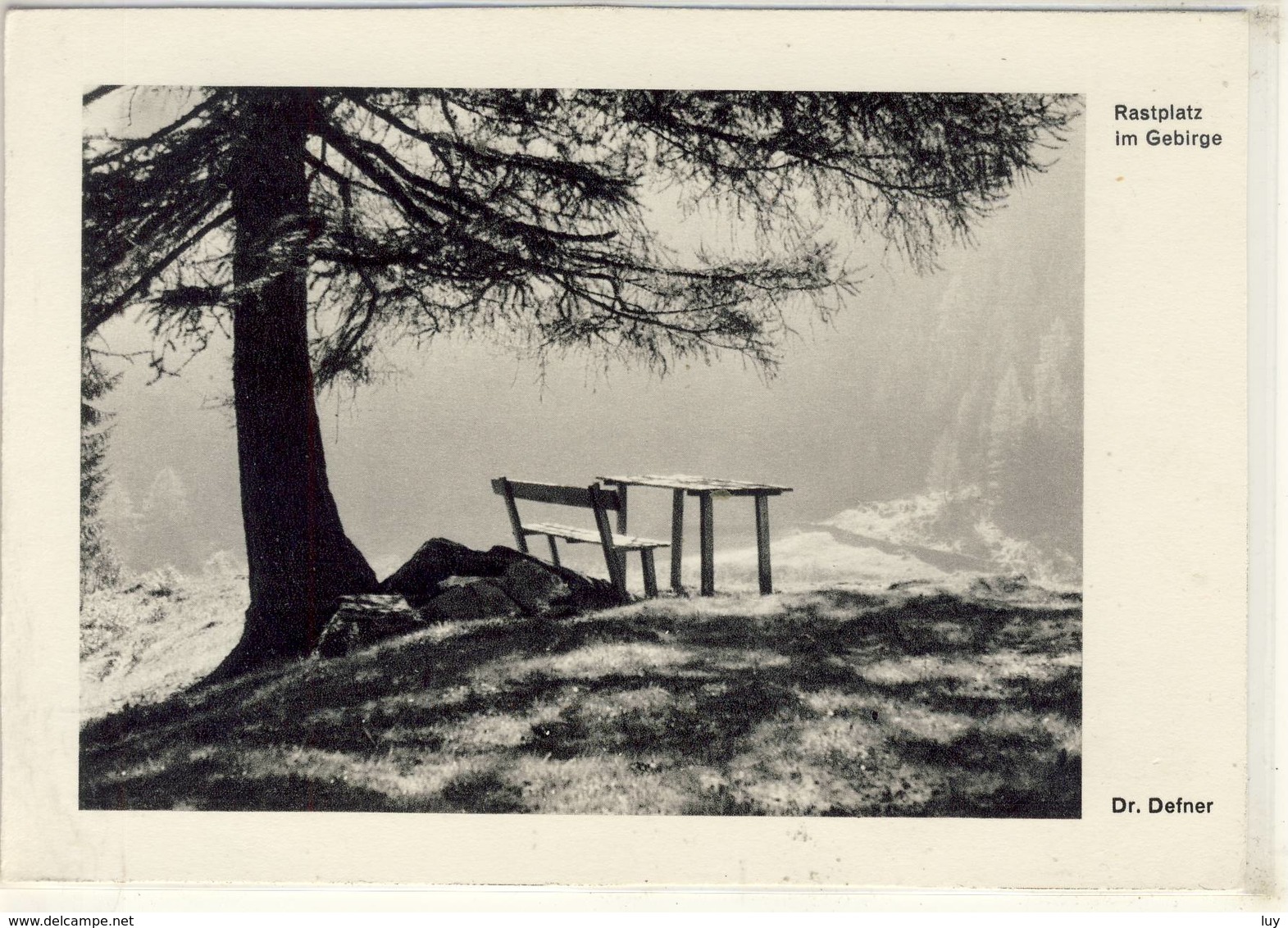 RASTPLATZ IM GEBIRGE TIROL FOTO DR. DEFNER 1953 - Fotografie