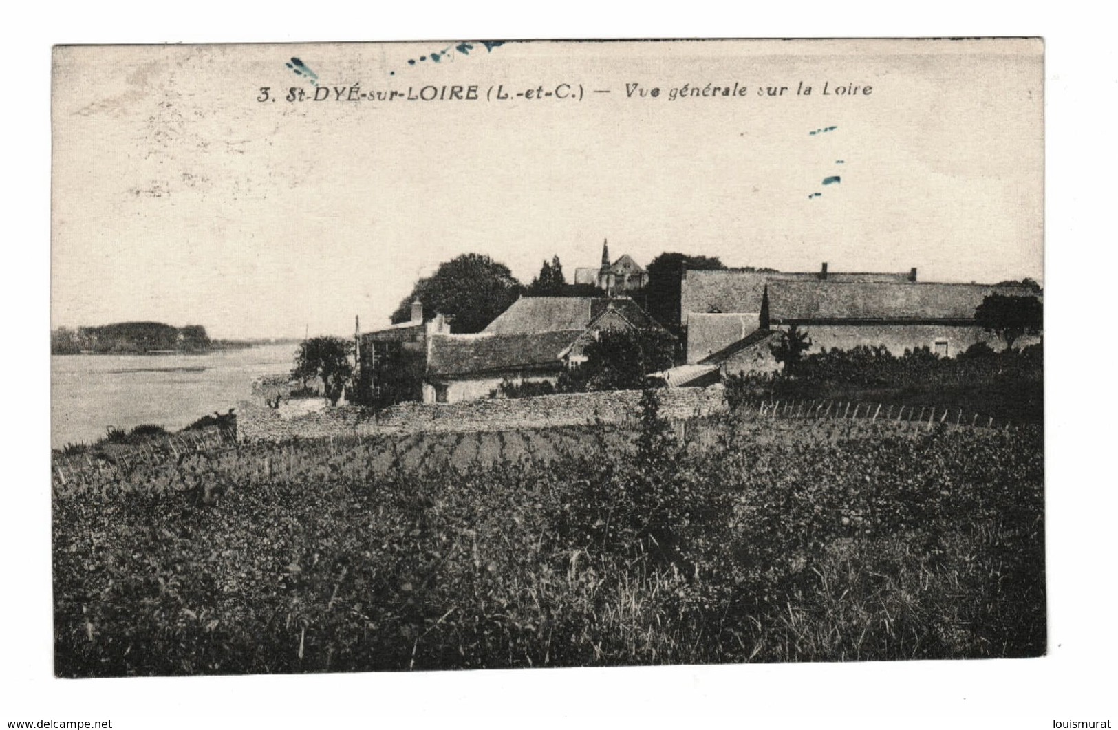 41 - Loir Et Cher - Saint Dyé Sur Loire - Vue Générale Sur La Loire - Autres & Non Classés