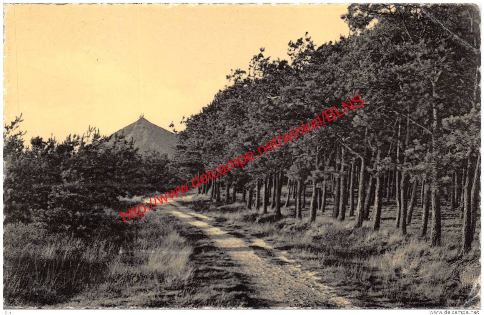 De Dennebossen - Les Sapinères - Eisden Maasmechelen - Maasmechelen