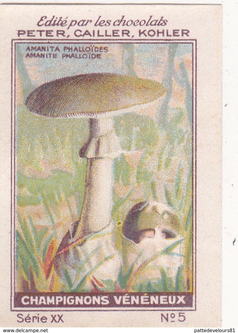 Chromo Publicitaire 4 X 6 Champignon Vnéneux Mushroom Pilz Amanite Phalloïde - Nestlé