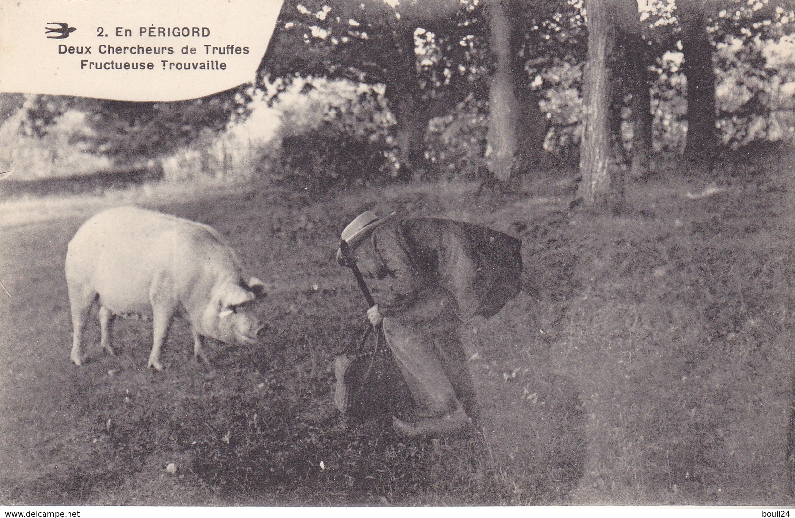 EN PERIGORD  DEUX CHERCHEURS DE TRUFFES  FRUCTUEUSE TROUVAILLE - Autres & Non Classés