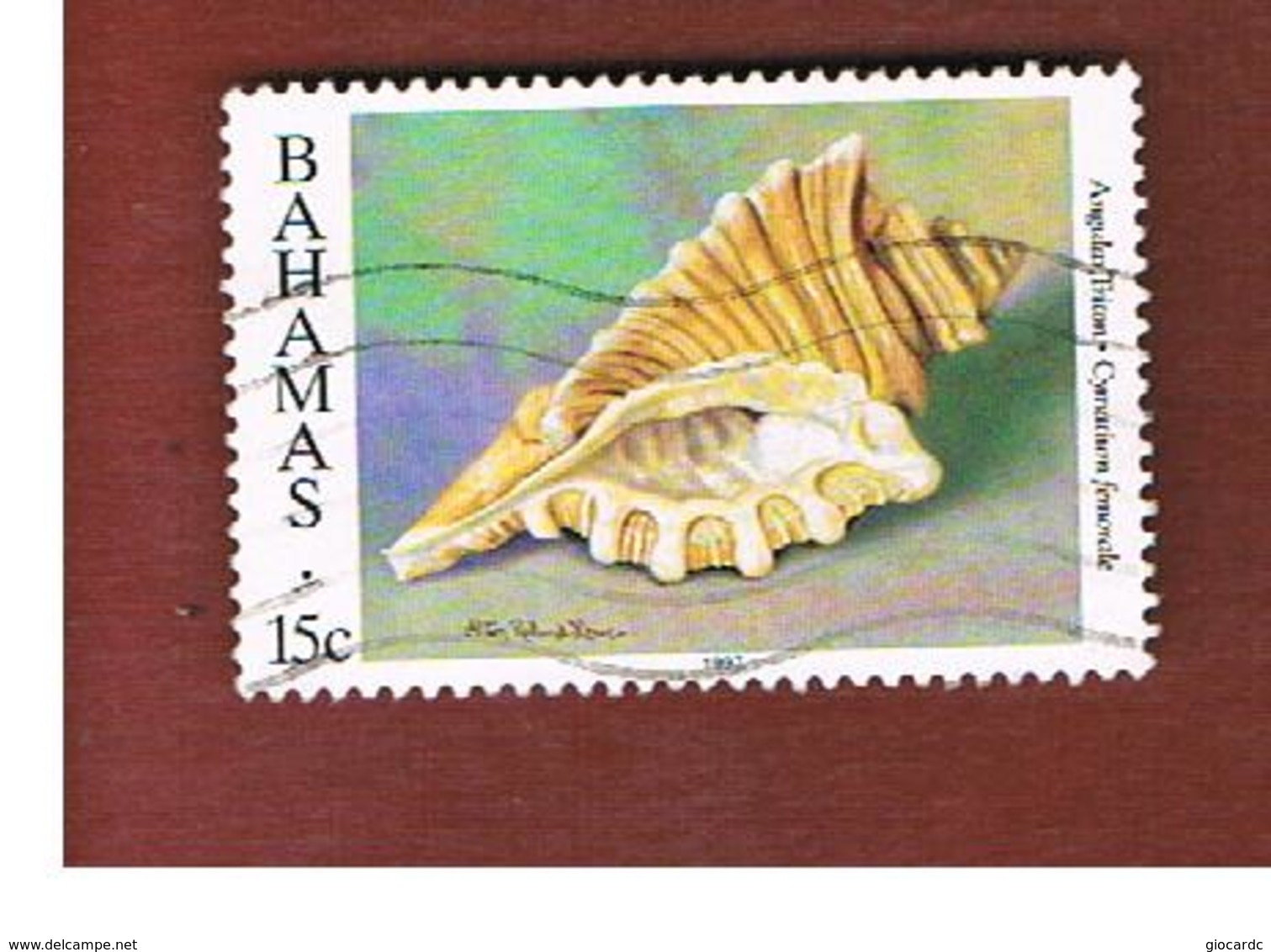 BAHAMAS - MI 891 II  -   1997 SEASHELLS: ANGULAR TRITON - USED° - Bahamas (1973-...)