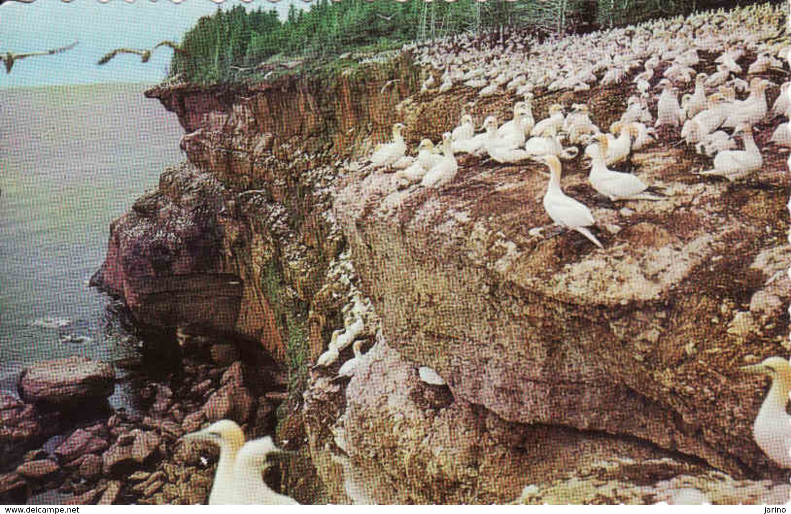 Canada > Quebec, Perce, Birds Sanctuary, Obliteree 1970 - Percé