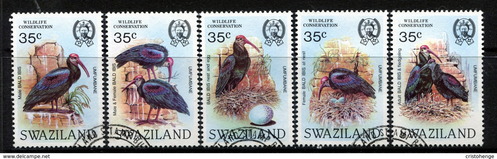 Swaziland 1984 Wildlife Conservation - Bald Ibis Set Used (SG 448-452) - Swaziland (1968-...)