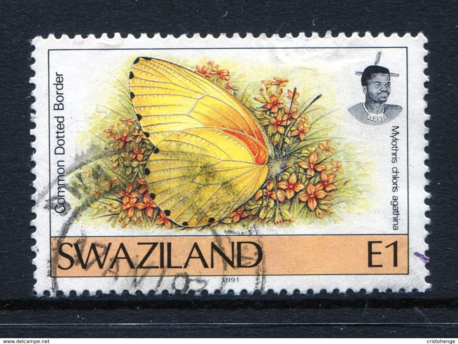 Swaziland 1992 Butterflies - 2nd Issue - 1e Value Used (SG 617) - Swaziland (1968-...)