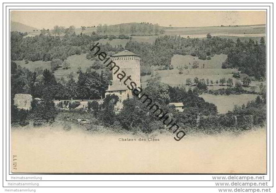 Chateau Des Clees Ca. 1900 - Les Clées