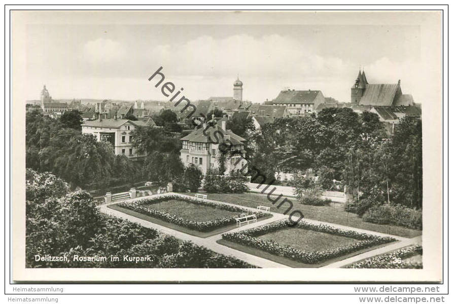 Delitzsch - Rosengarten - Rosarium Im Kurpark- Foto-AK - Delitzsch