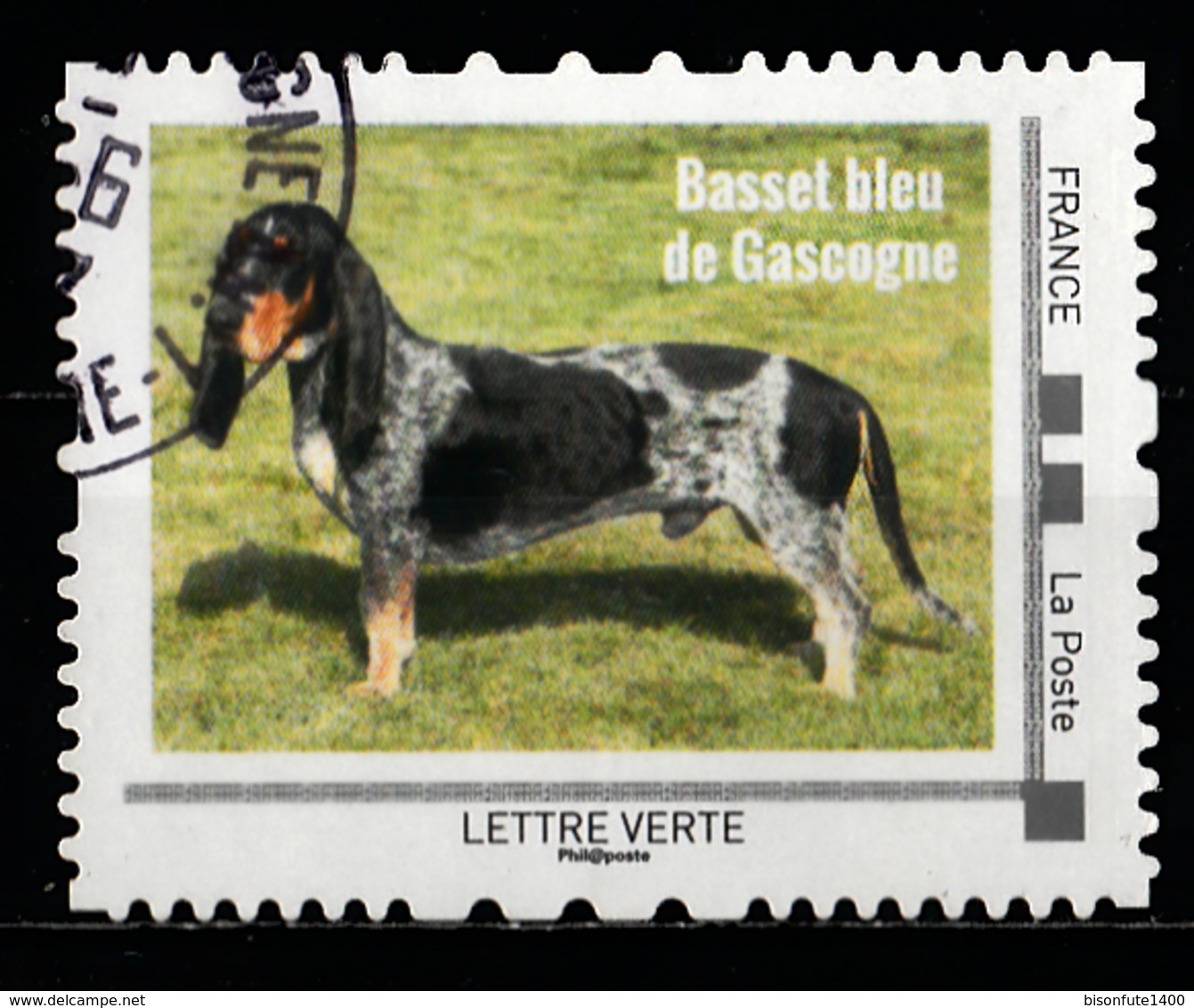 Collector Les Chiens 2016 : Basset Bleu De Gascogne. - Collectors