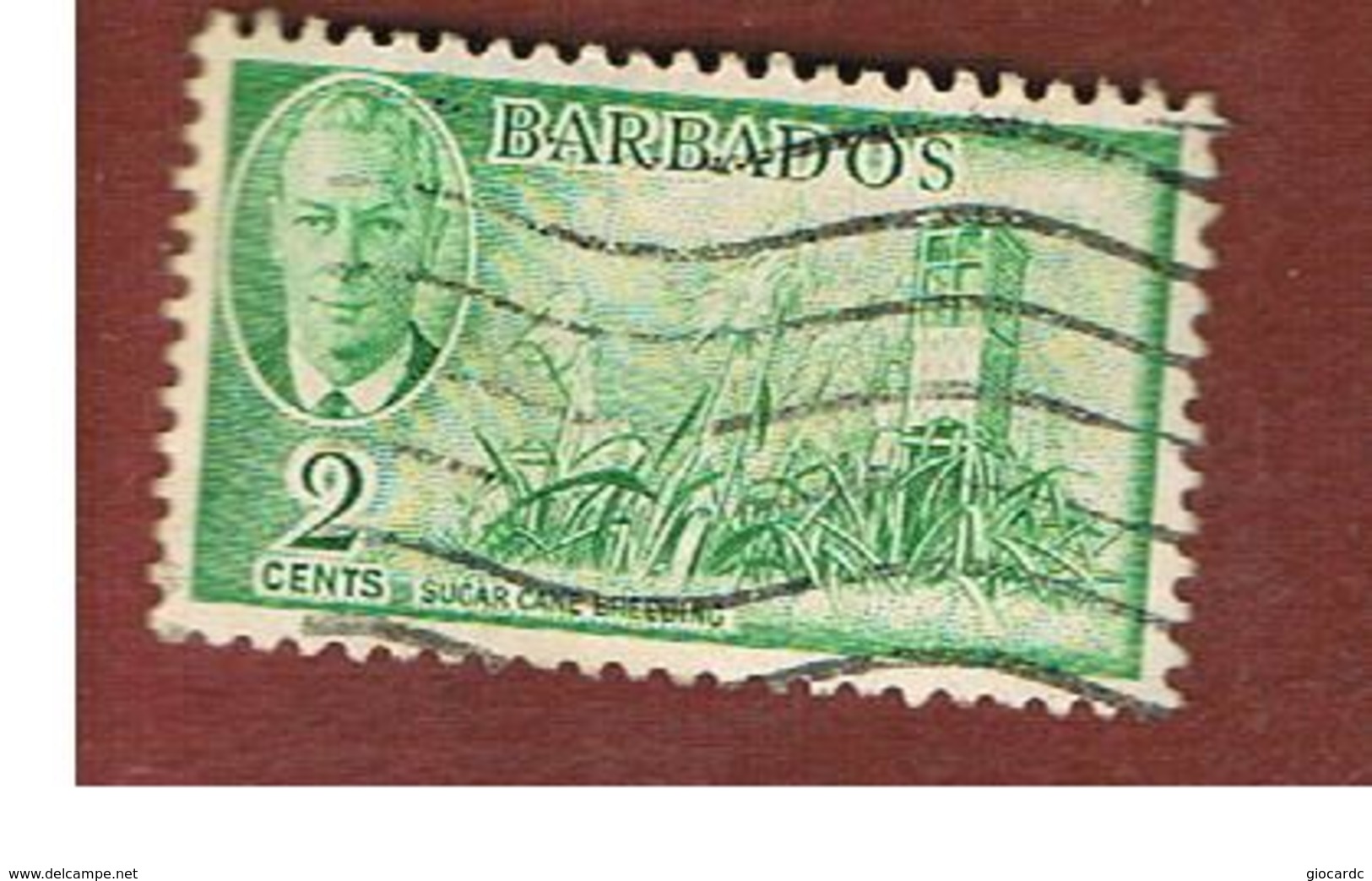 BARBADOS - MI  185  -   1950   SUGAR CANE  -  USED° - Barbados (...-1966)
