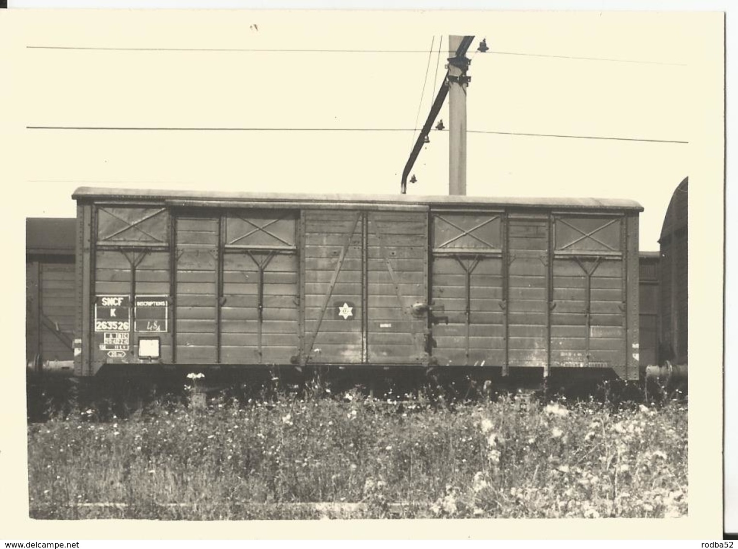 Photo - Train  - Transport  - Wagon - SNCF - Année 60 Environ - Treni