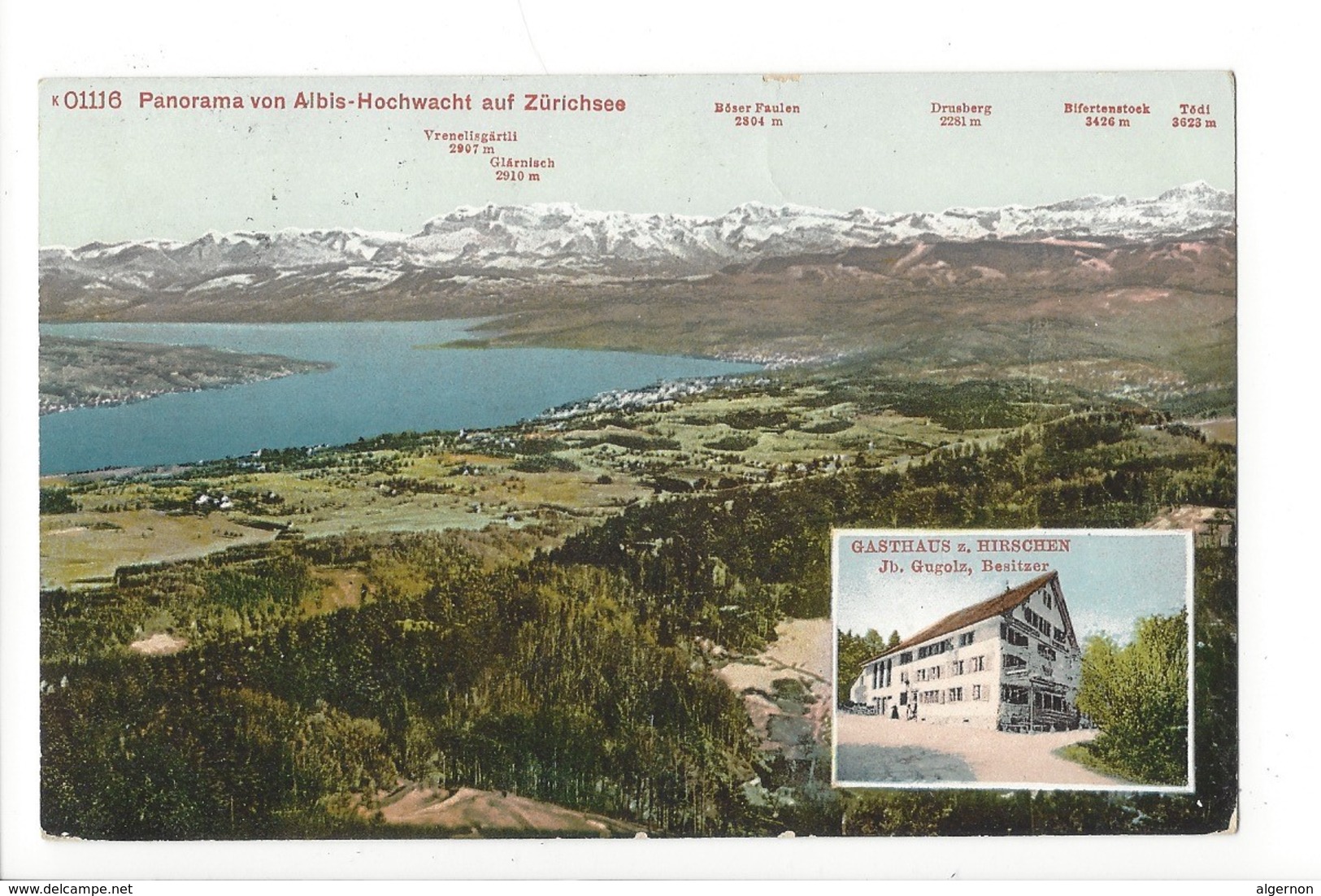 20484 - Panorama Von Albis-Hochwacht Auf Zürichsee Gasthaus Hirschen - Zürich