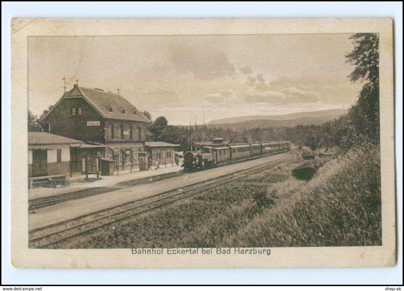 XX01127-3388/ Bahnhof Eckertal Bei Bad Harzburg Mit Eisenbahn Ak 1920 - Other & Unclassified