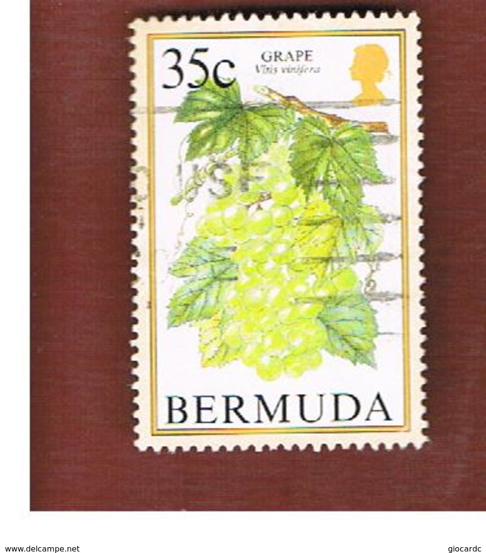 BERMUDA - MI 661   -   1994 FRUITS: GRAPE                        -   USED° - Bermuda