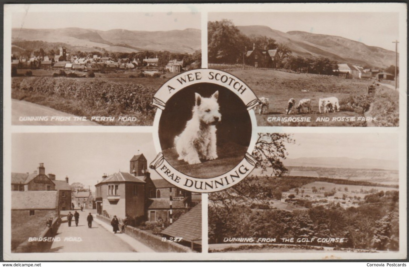 A Wee Scotch Frae Dunning, Perthshire, 1951 - Valentine's RP Postcard - Perthshire