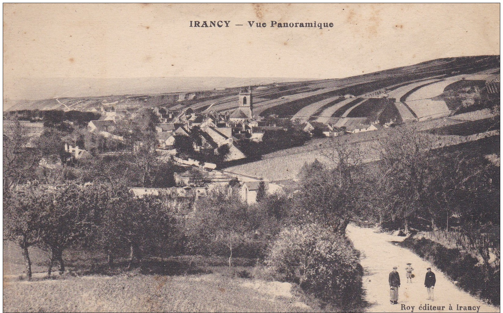 23X - 89 - Irancy - Yonne - Vue Panoramique - Roy - Autres & Non Classés