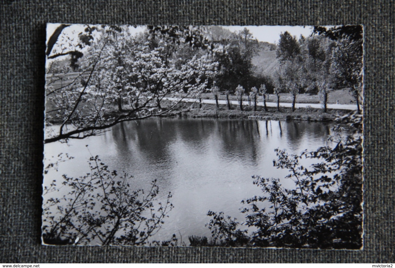 BRUYERES - Lac De Pointhaie - Bruyeres