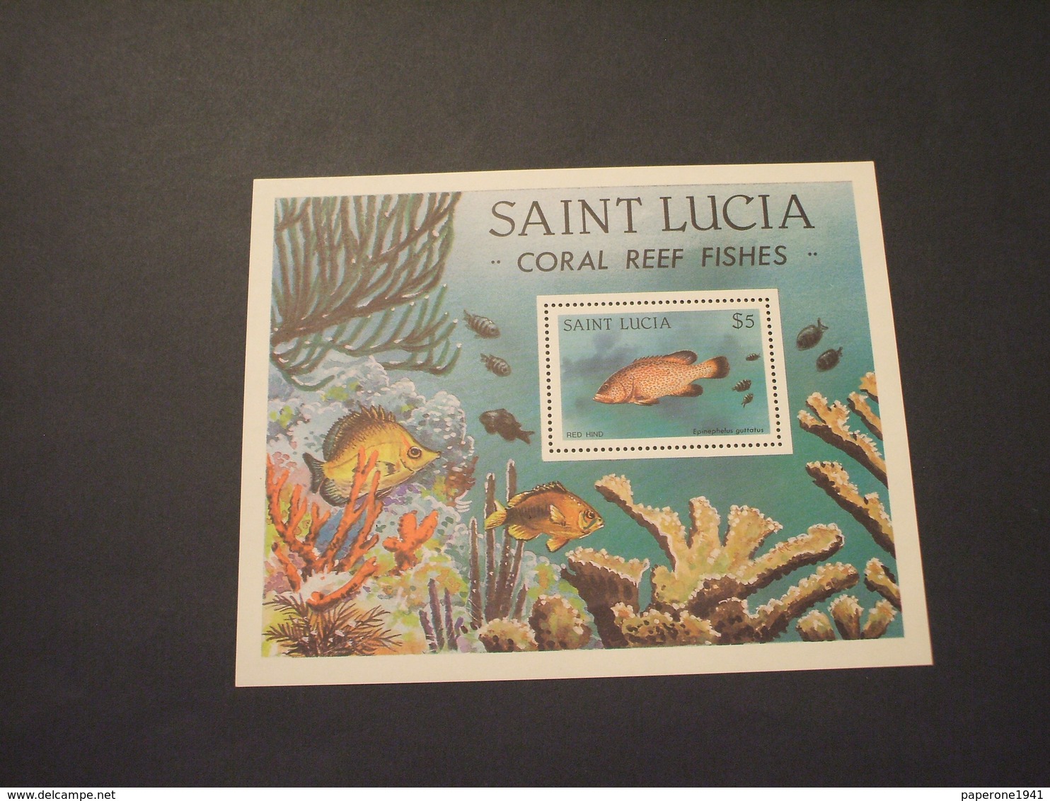 ST. LUCIA - BF 1983 PESCE - NUOVO(++) - St.Lucia (1979-...)