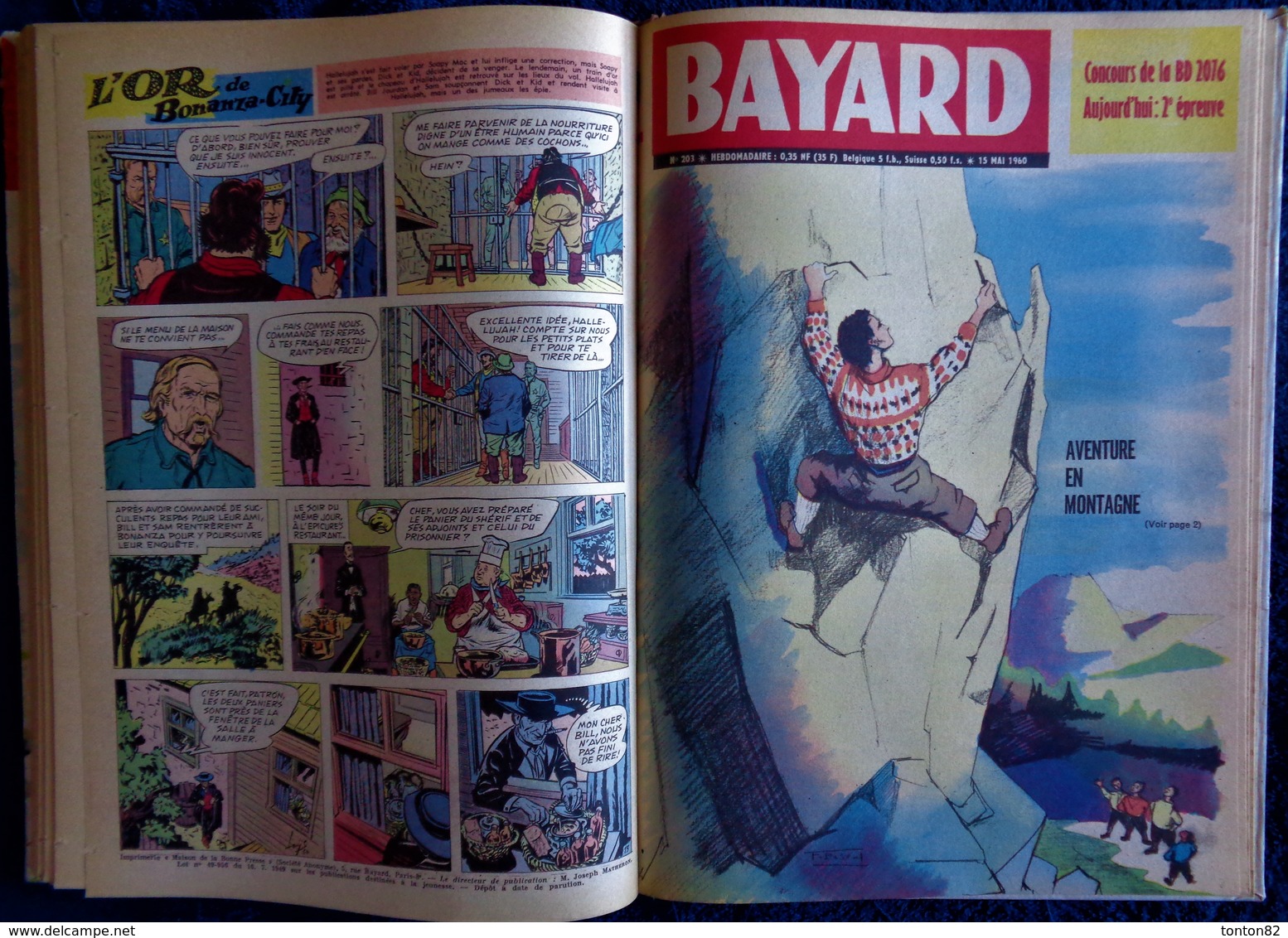 BAYARD - Album n° 31 - ( 1960 ) .