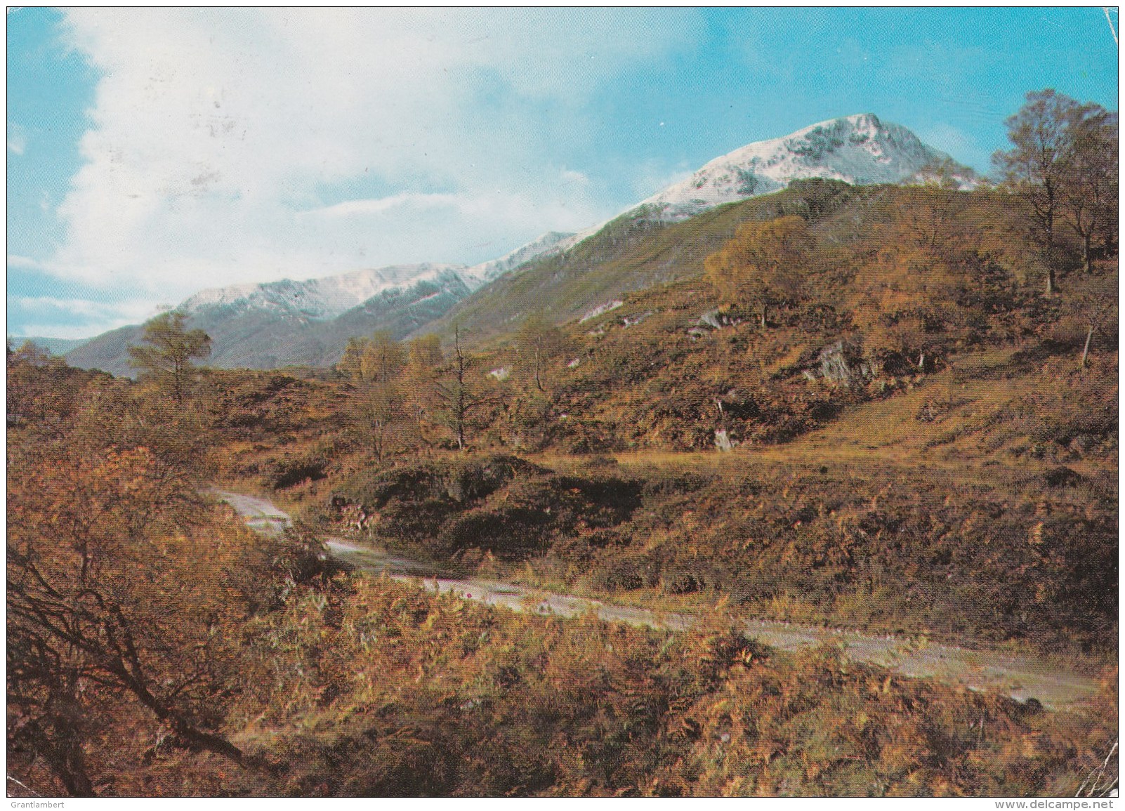 Glen Affric In Autumn, Inverness-shire, Scotland - Posted Inverness 1983 With Stamp - Inverness-shire