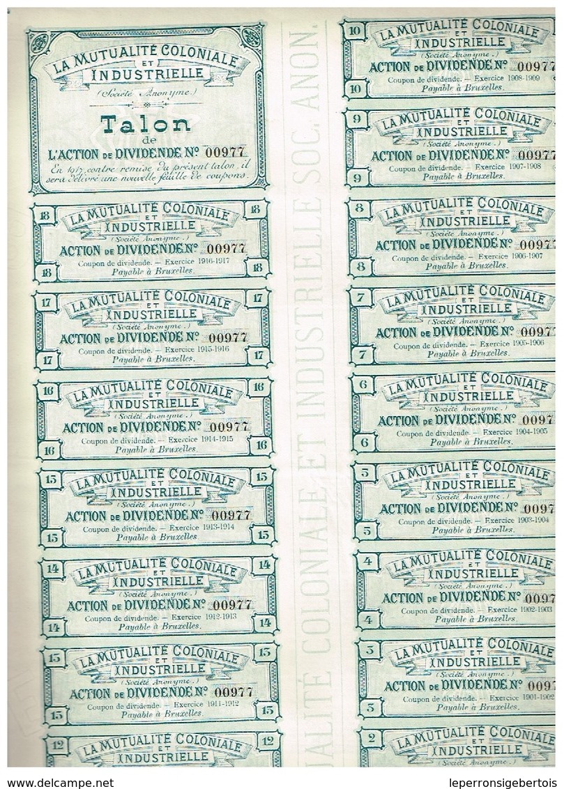 Action Ancienne - La Mutualité Coloniale & Industrielle - Titre De 1899 - N° 00977 - Afrika