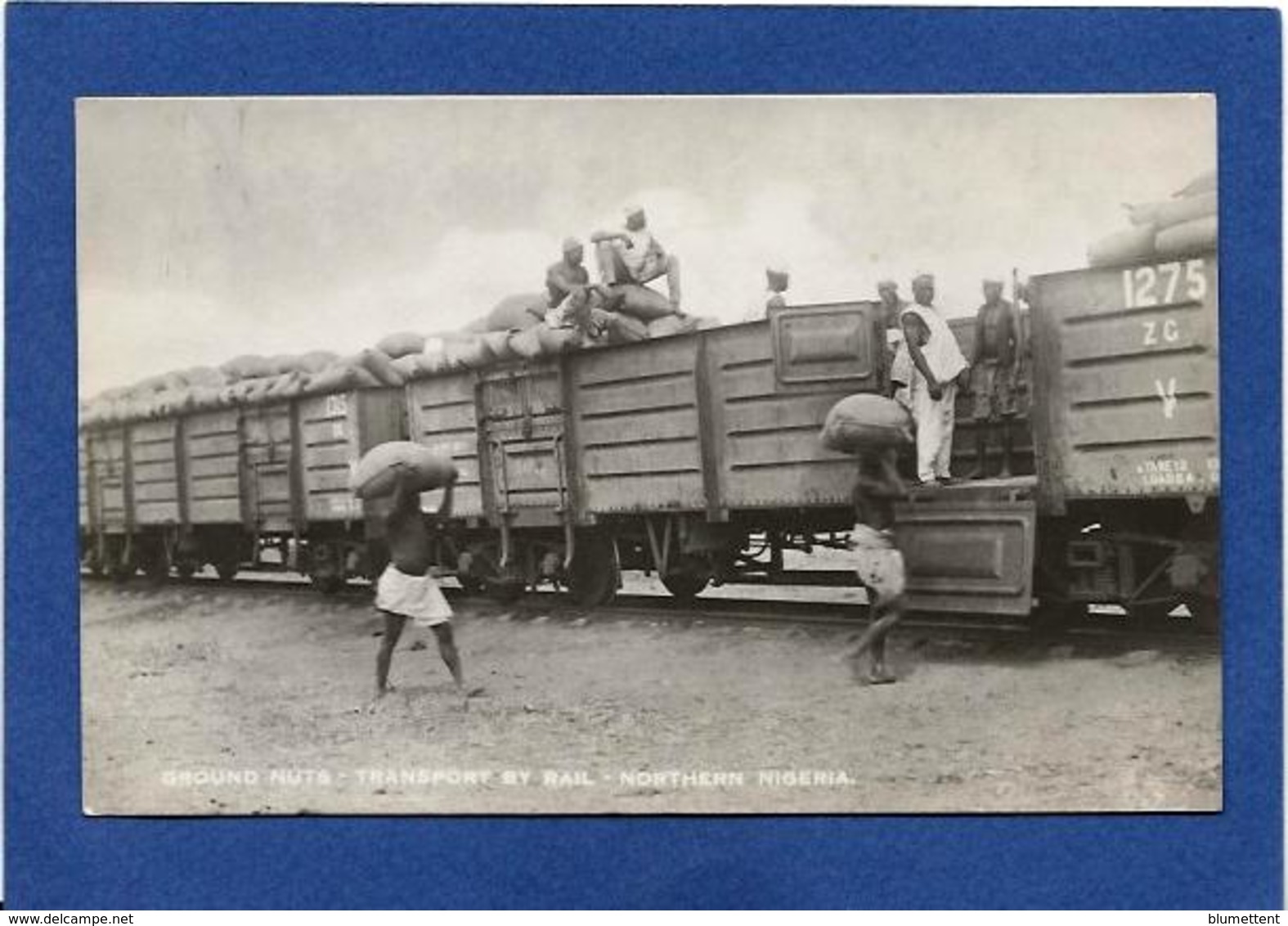 CP Nigéria Afrique Noire Ethnic Type Non Circulé Carte Photo Train Gare Chemin De Fer - Nigeria