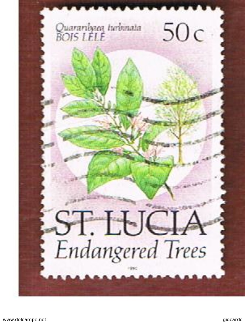 ST. LUCIA - MI 965 I  -  1989 PLANTS: QUARARIBAEA TURBINATA -   USED - St.Lucia (1979-...)