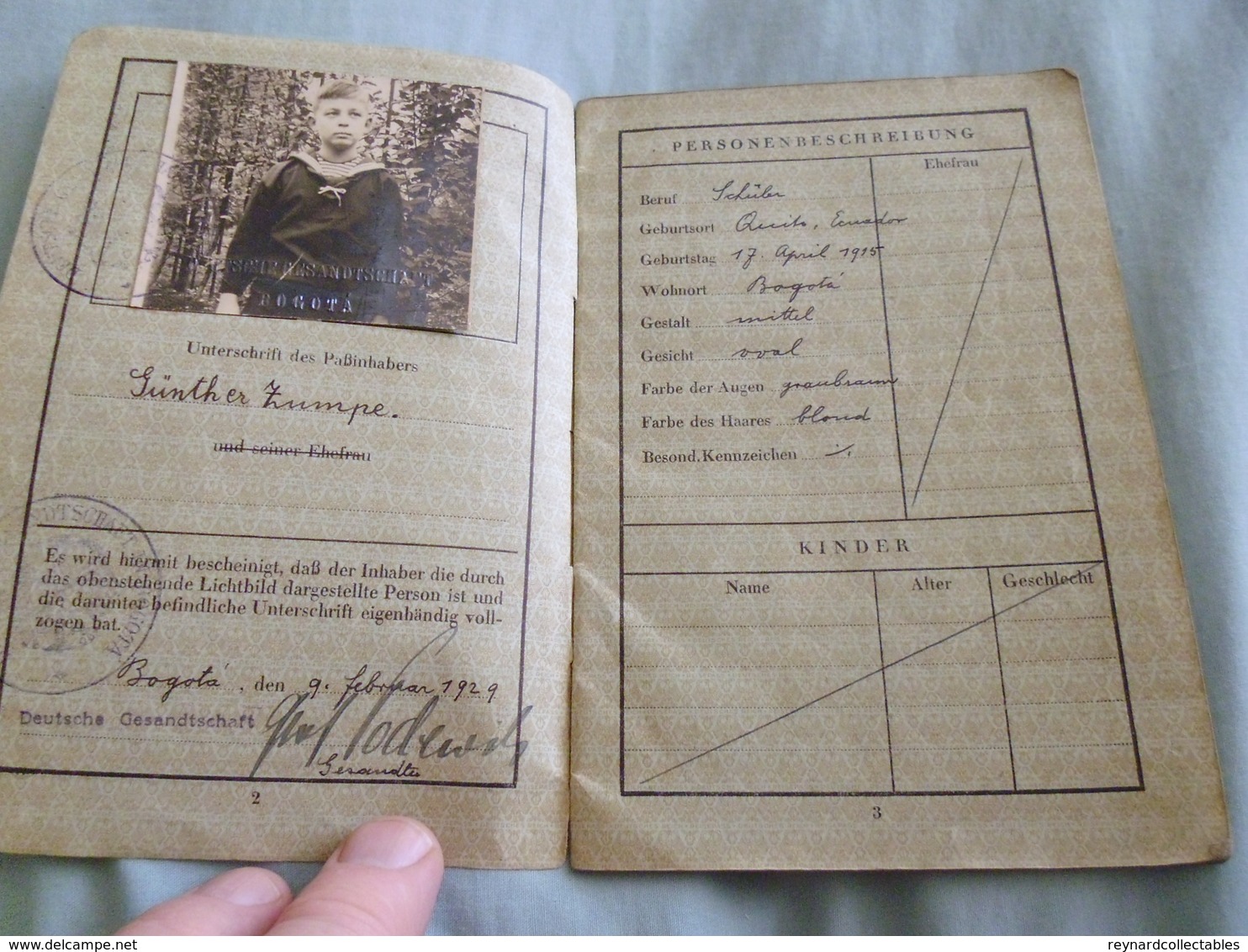 1929 German Reisepass Passport Issued German Consul Bogota Colombia, 14 Year Old Boy. Czech Entries - Historische Dokumente