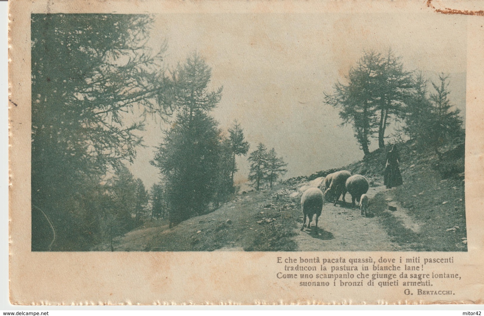 90PL-1916-Cartolina Tema Pastorale-Animali-Pecore-bollo Porta Lettere N°339-Quartiere Postale Di Roma-Storia Postale - Marcophilia