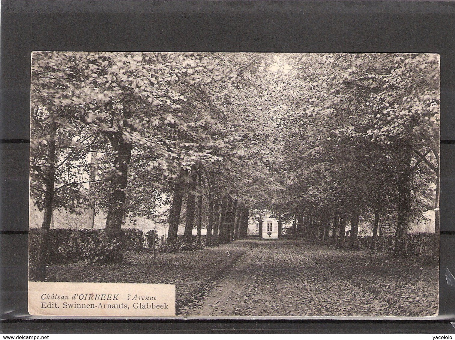 Chateau D'Oirbeek   L' Avenue - Tienen