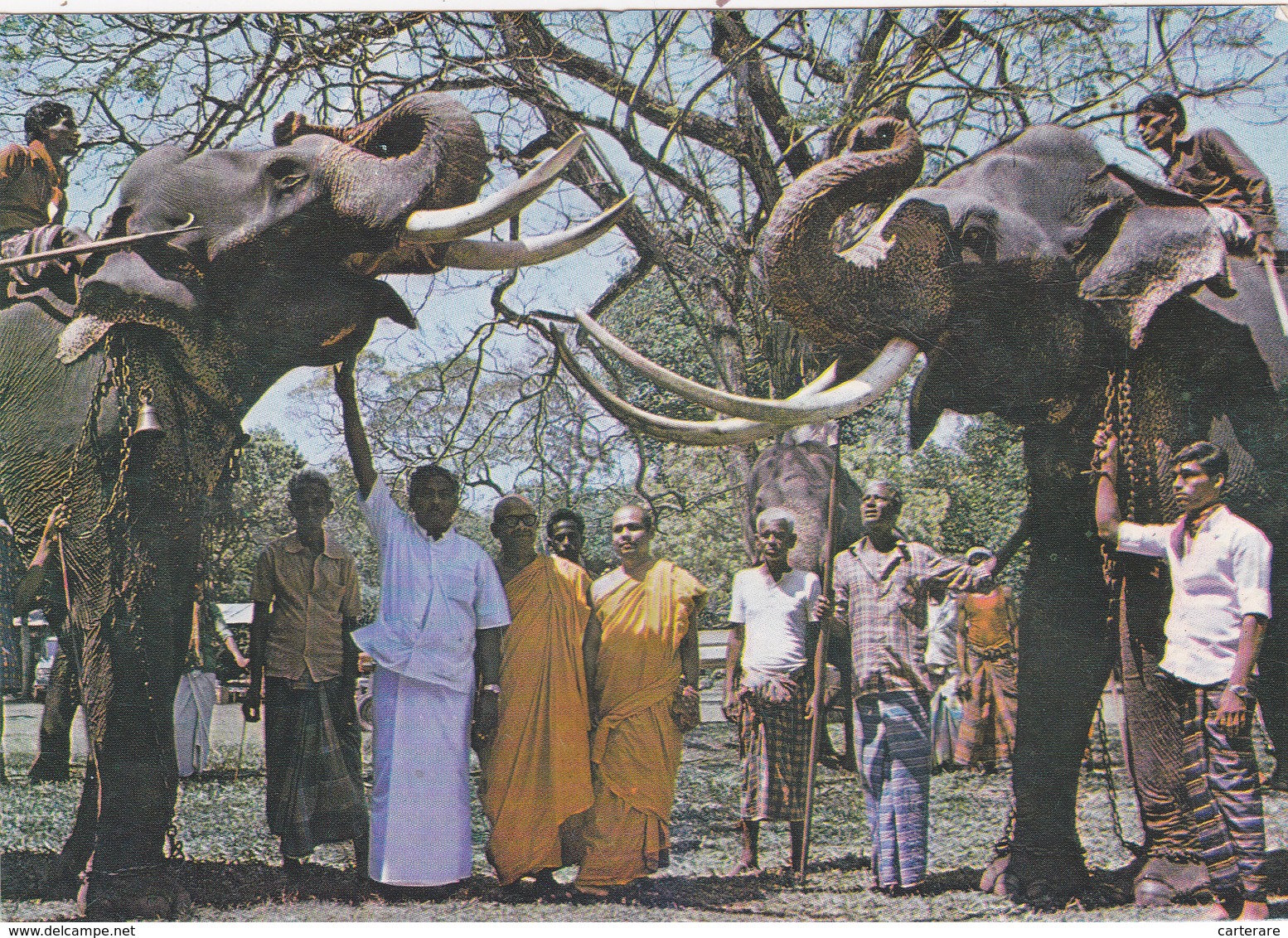 ASIE,ASIA,SRI LANKA,CEYLON,CEYLAN,ELEPHANT - Sri Lanka (Ceylon)