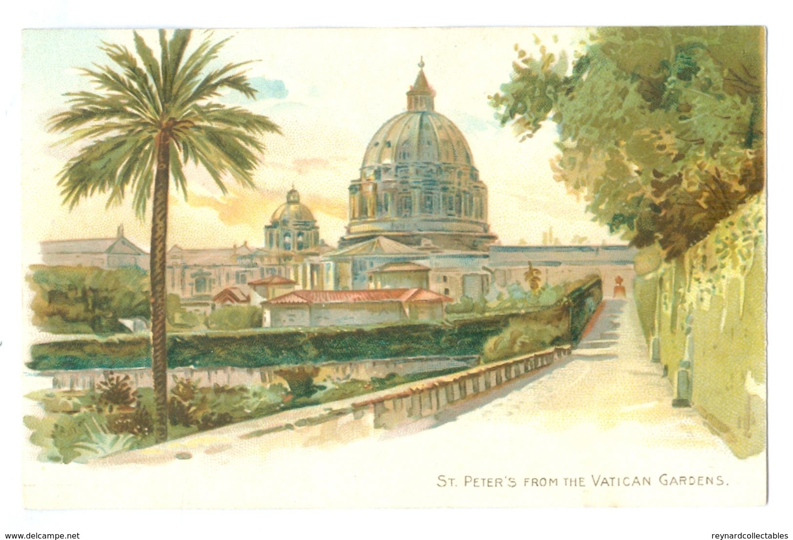 Vintage, Vatican City, St Peter's From The Vatican Gardens. Printed Pc, Unused. - Vatikanstadt
