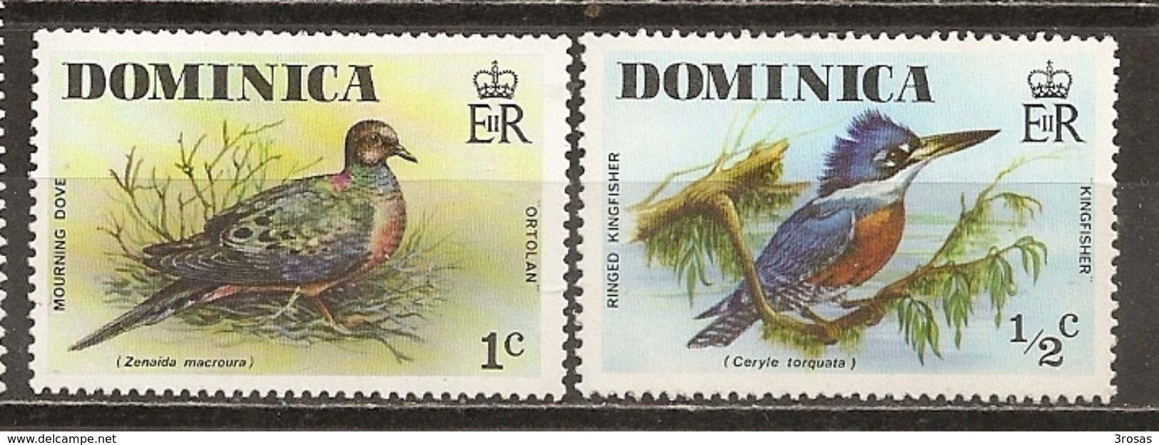 Dominique Dominica Oiseaux Birds - Dominica (1978-...)