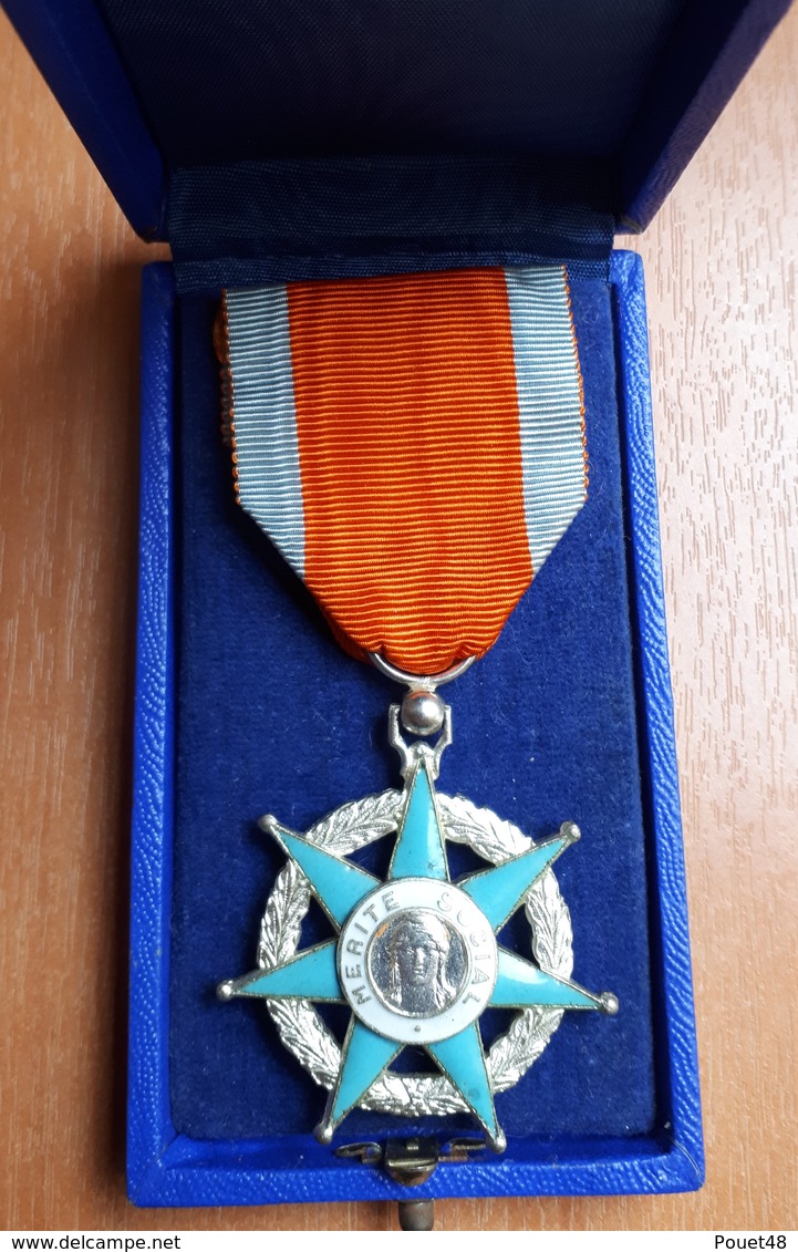 Médaille Mérite Social Du Travail, Avec Sa Boite - France