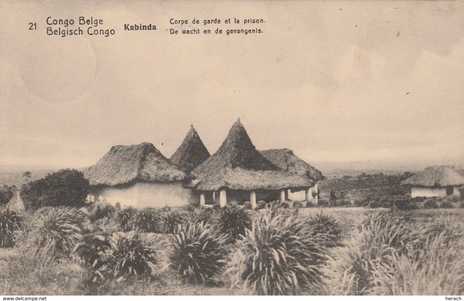 Congo Belge Entier Postal Illustré 1917 - Entiers Postaux