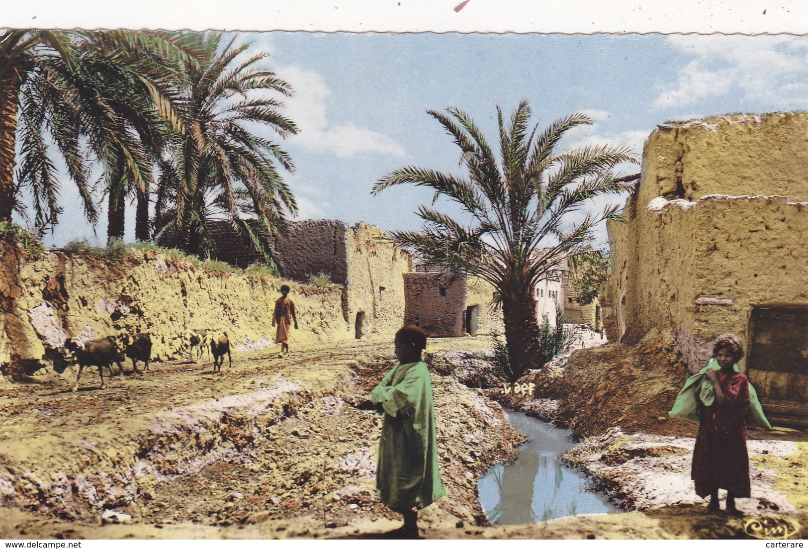 AFRIQUE,FRANCE COLONIES,MAGHREB,SIDI-OKB ,PRES BISKRA,ALGERIE - Biskra