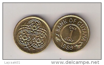 Guyana 1 Cent 1989. High Grade - Guyana