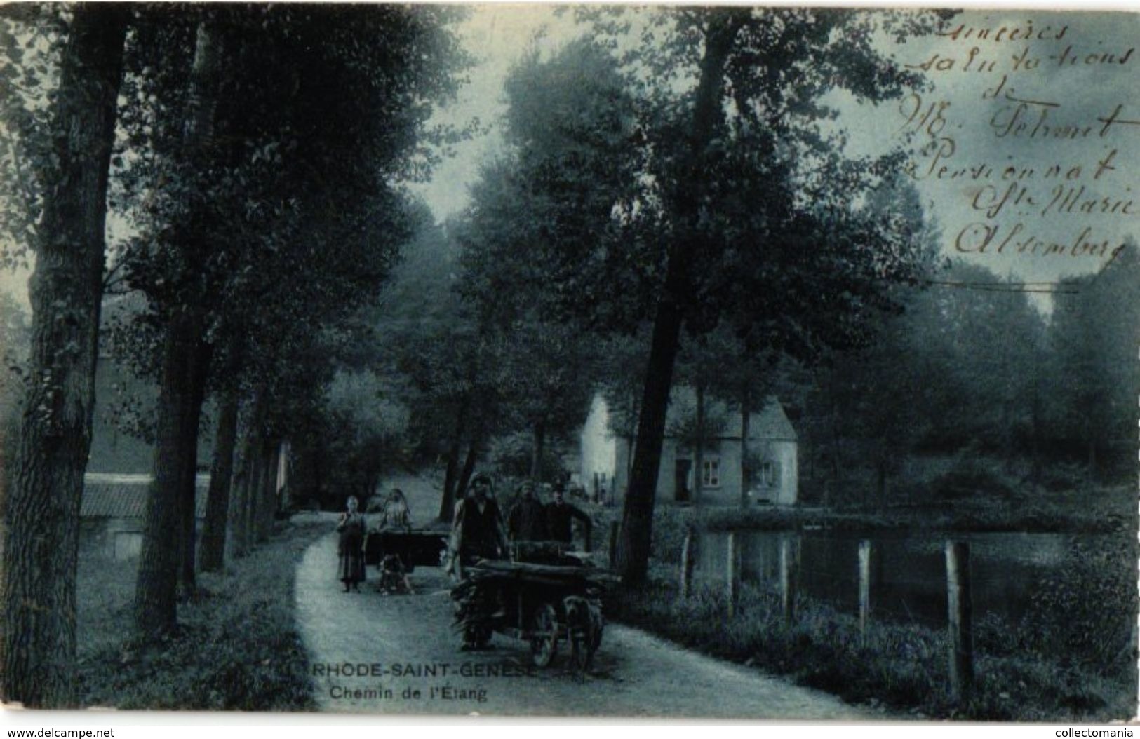 Rode St GENESE CPA  C1908 Attelage De Chiens -hondenkar ( Hund, Hond, Dog Cart ) étang Transport Lourd Fagot VENTERS - Marchands Ambulants