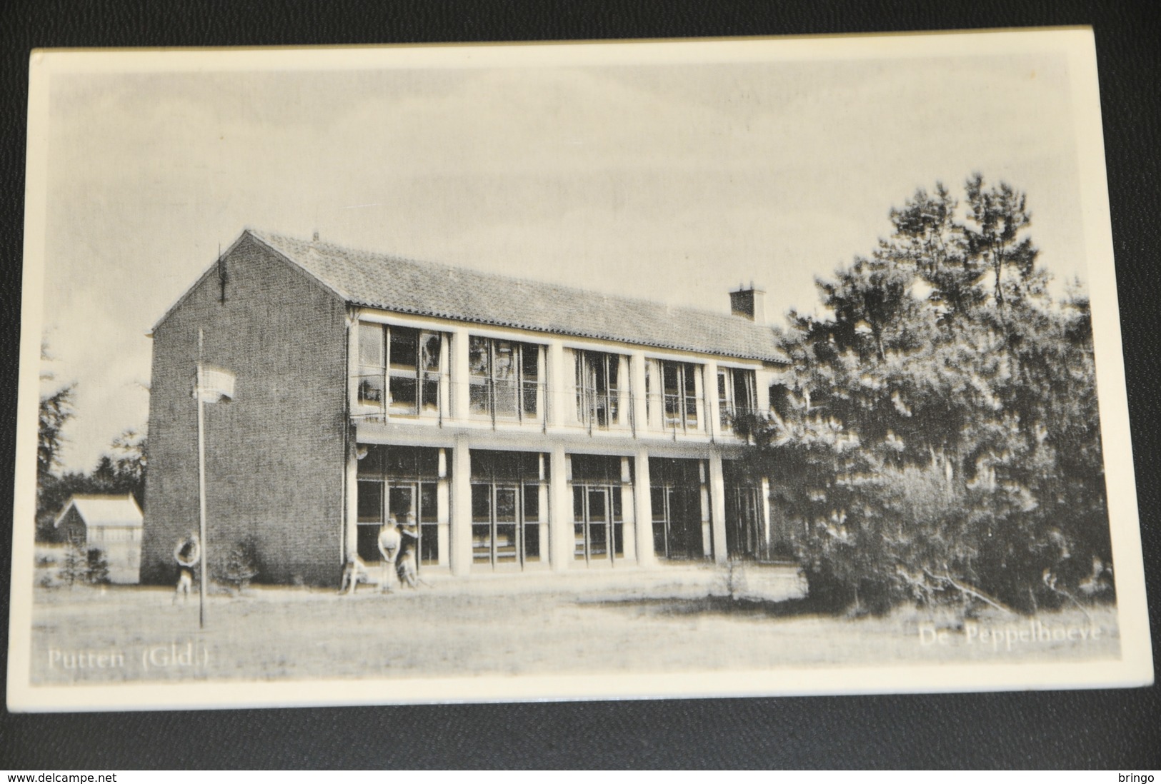 710- De Peppelhoeve, Putten - 1956 - Putten