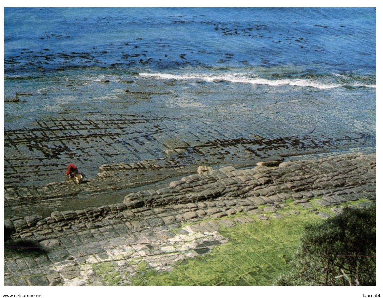 (900) Australia - TAS - Tessallated Pavement - Eaglehawk Neck - Port Arthur