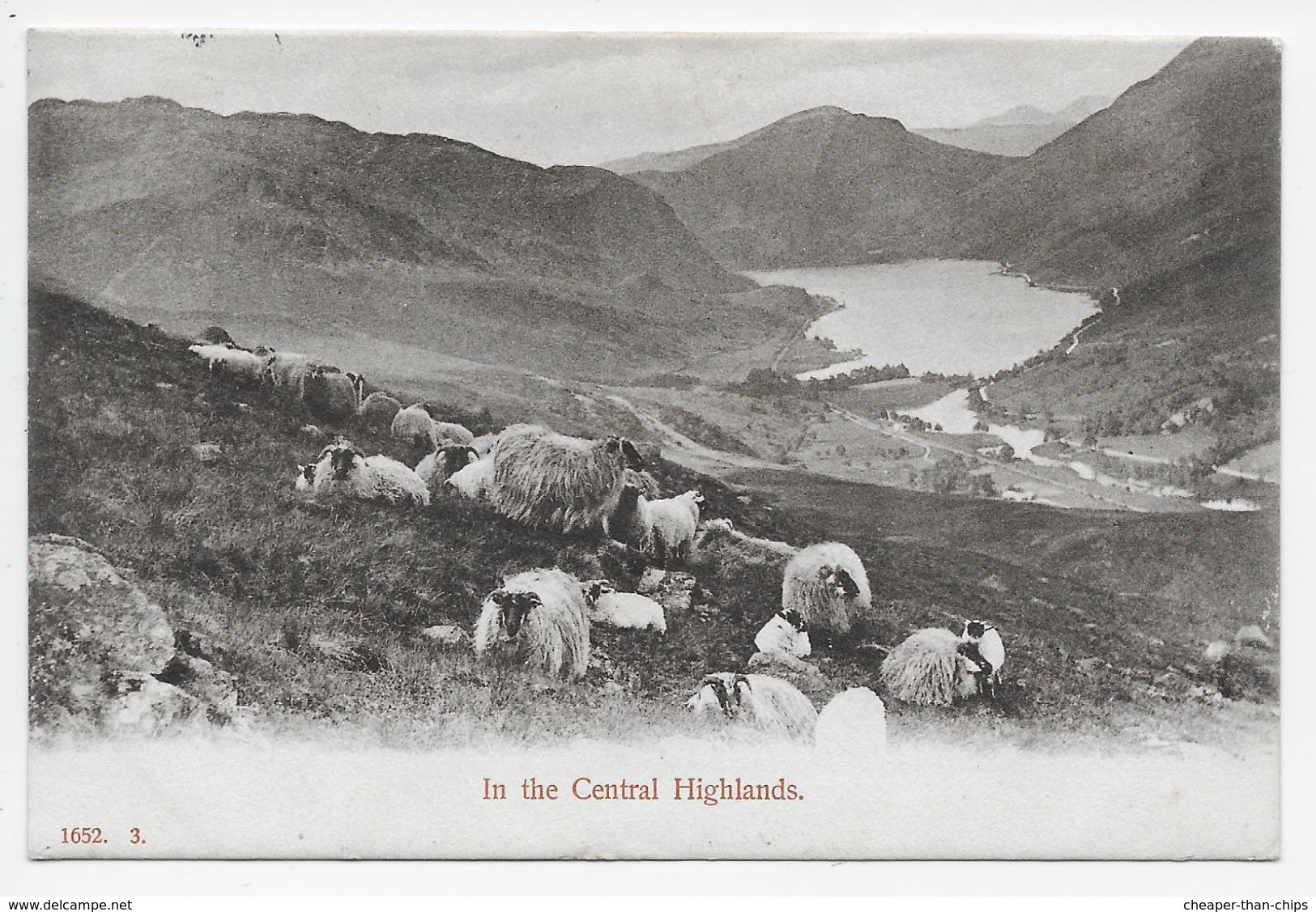 In The Central Highlands - Sheep - Hartmann - Other & Unclassified