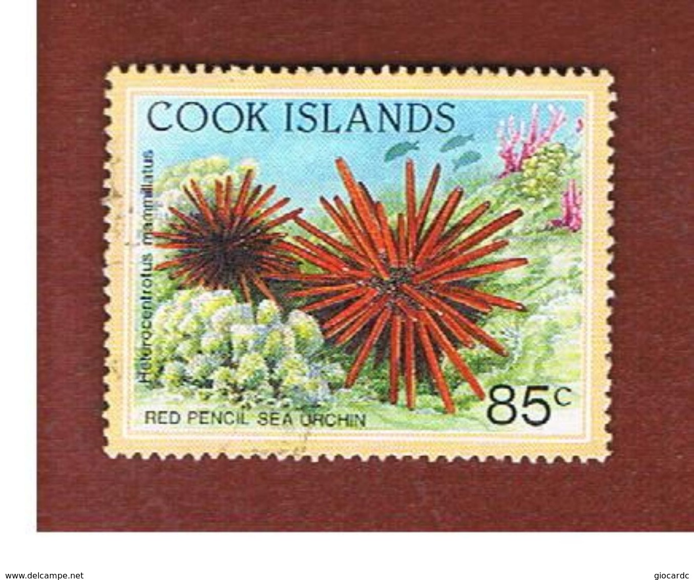 ISOLE COOK (COOK ISLANDS) - SG 1269 - 1992 MARINE LIFE: RED PENCIL SEA ORCHIN - USED° - Cook