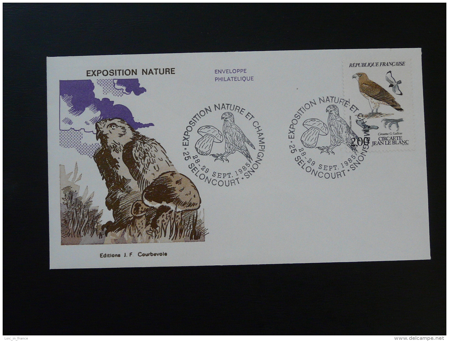 FDC Lettre Cover Circaete Expo Nature Et Champignon 25 Seloncourt Doubs 1985 - Eagles & Birds Of Prey