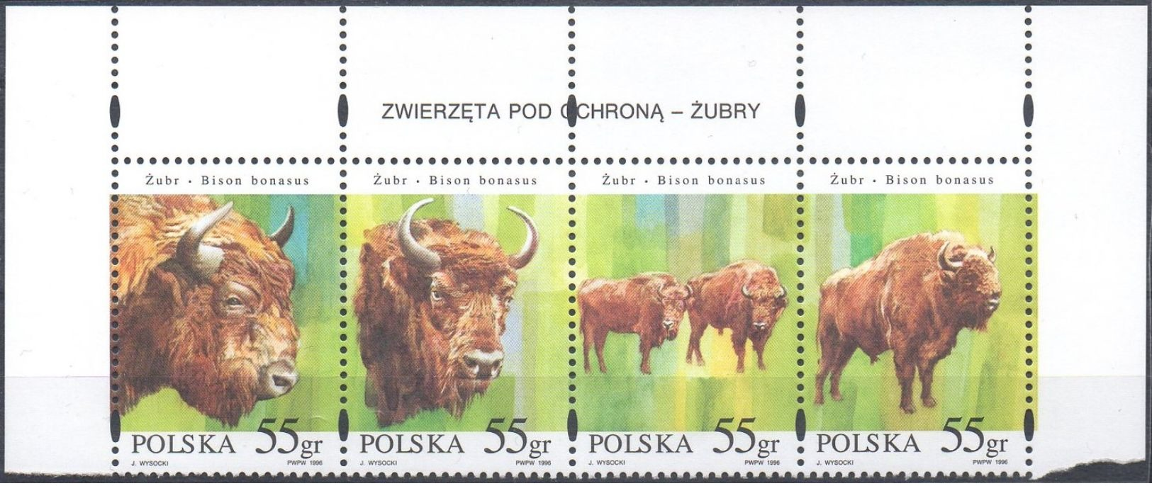 Polen - MiNr. 3629-32 - Wisent (ZSD) - Postfrisch - Wild