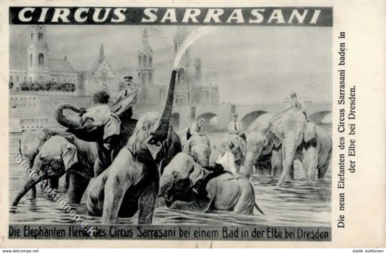 Zirkus Dresden (O8000) Sarasani Elephanten I-II - Circo