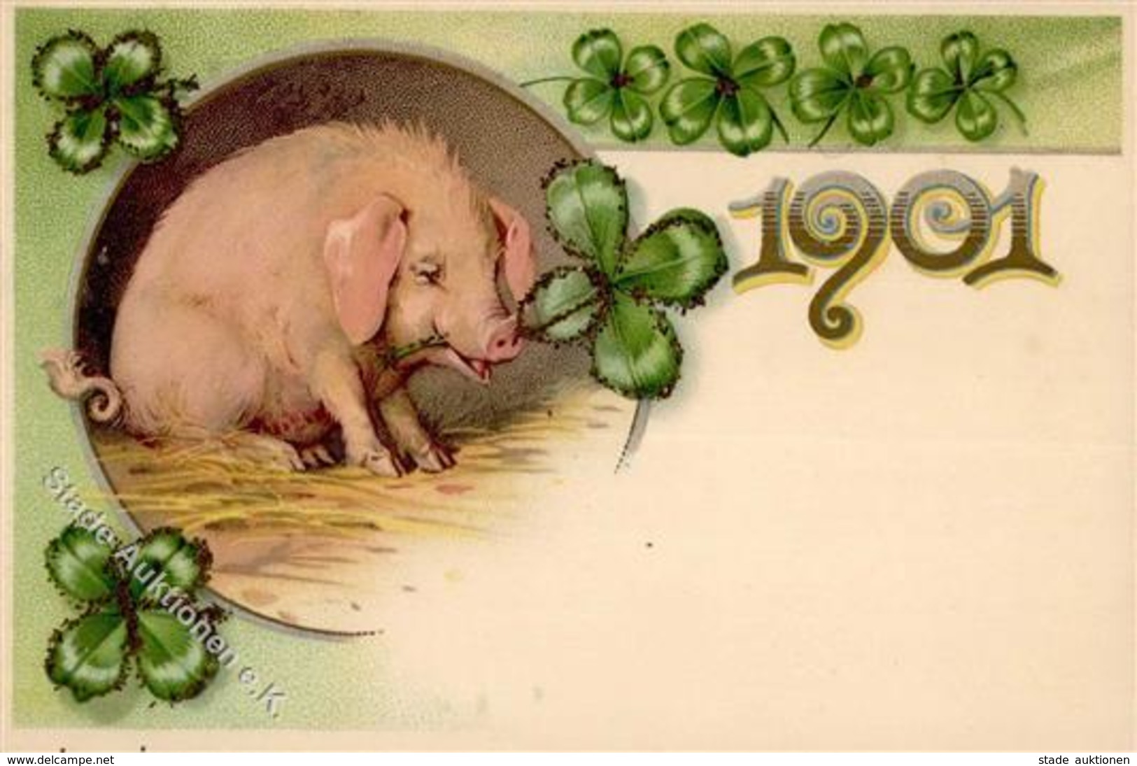 Jahreszahl 1901 Schwein  Lithographie I-II Cochon - Non Classificati